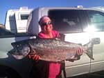Homer winter feeder king salmon on March 18 that weighed 31 pounds.