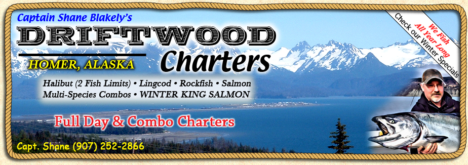 Halibuf Xxnx Hd - Captain Shane Blakely's DRIFTWOOD CHARTERS fishing halibut, salmon, winter  king salmon, lingcod, rockfish and combo trips in Homer Alaska on the Kenai  Peninsula.